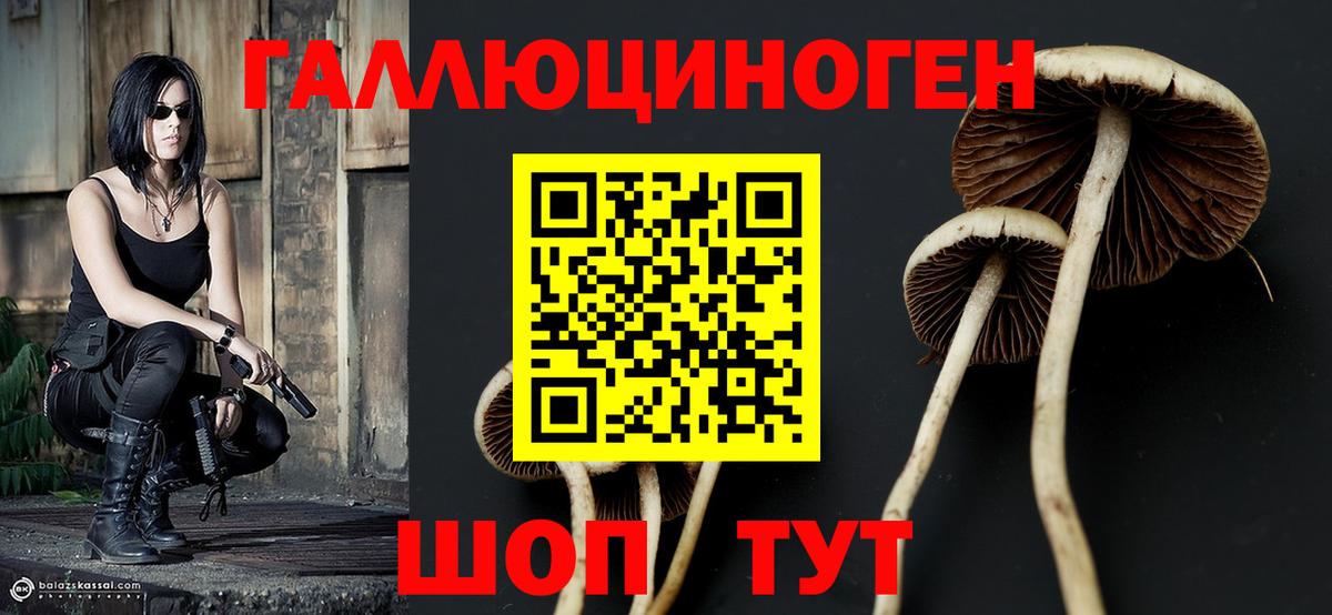 Псилоцибиновые грибы Cubensis Балаково