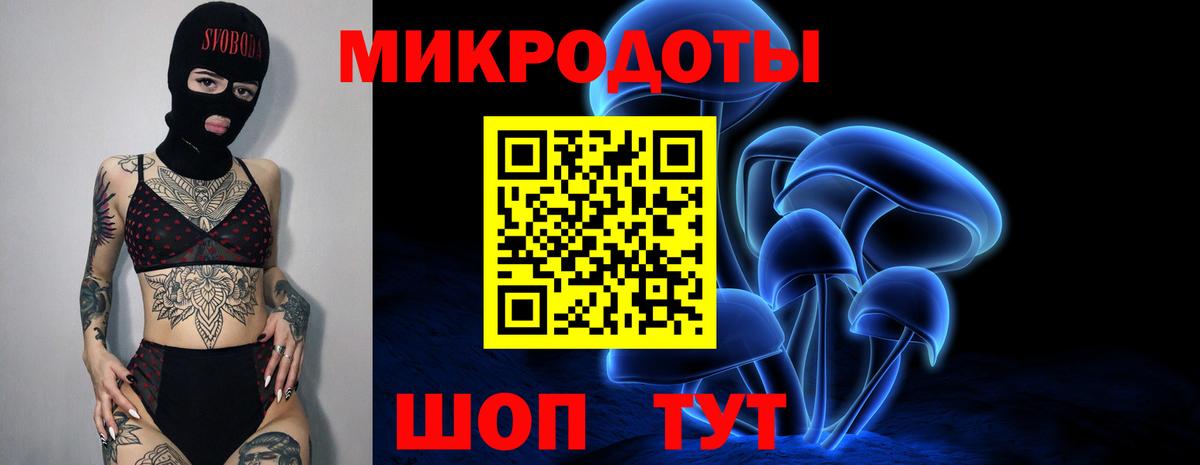 Балаково  Галлюциногенные грибы прущие грибы  Вход с VPN  Псилоцибиновые грибы Psilocybine cubensis 
